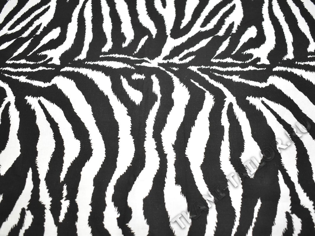 Хлопок принт зебра - фото 1