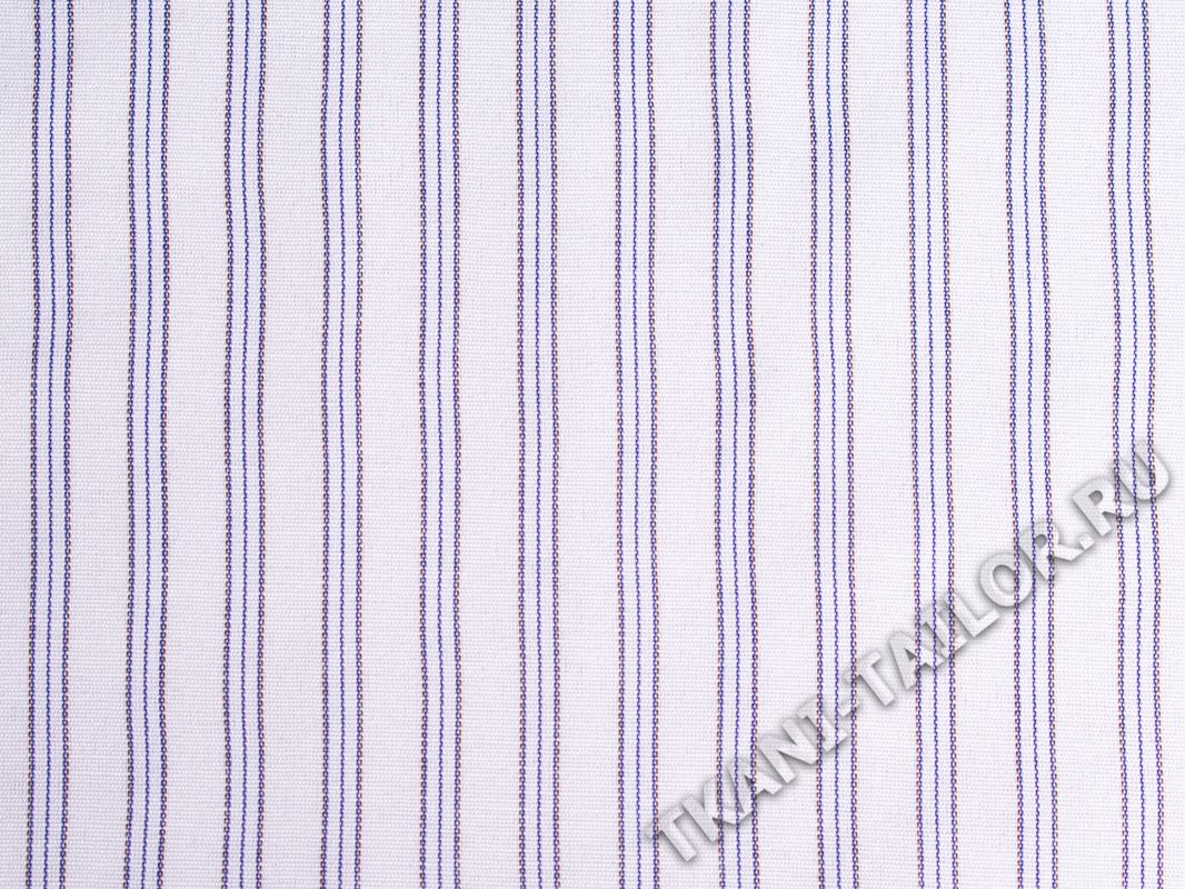 Рубашечный хлопок белый в тонкую синюю полоску - фото 2
